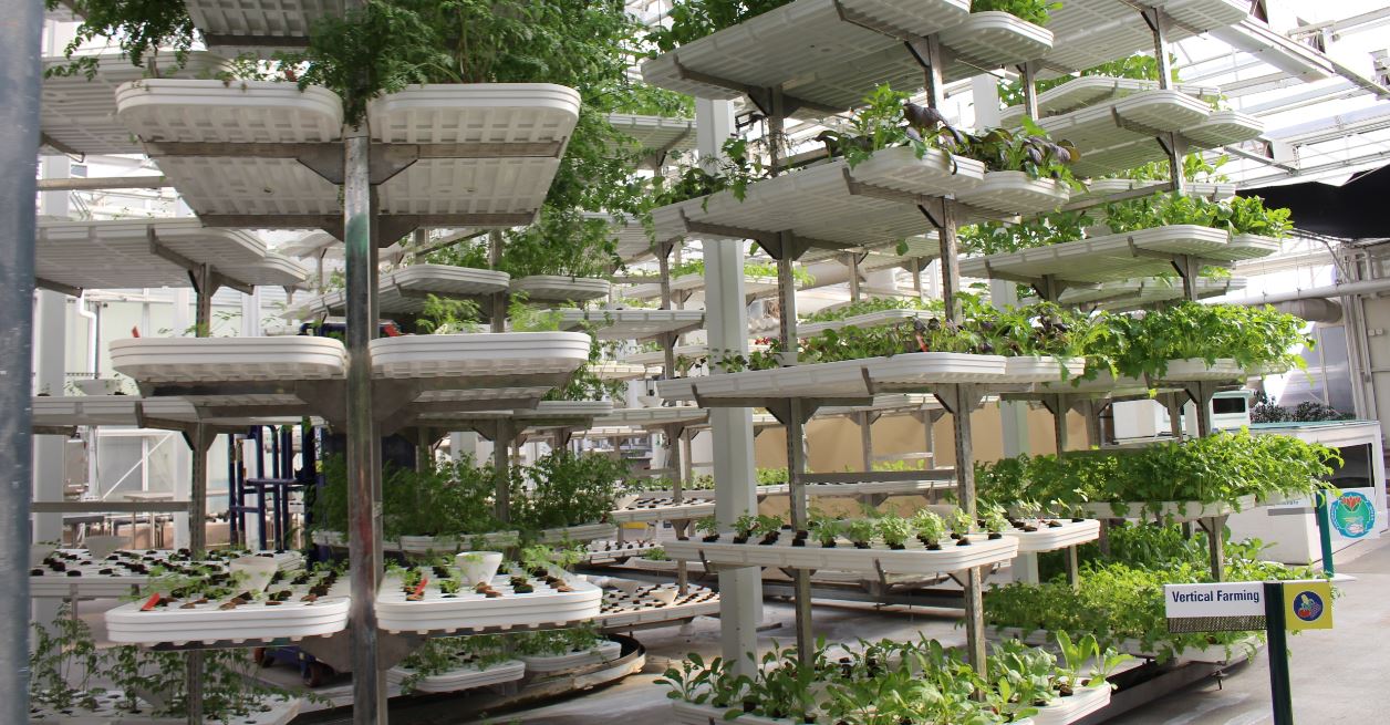Conclusion: Is Vertical Farming the Future of Food? | Noa: Understand ...
