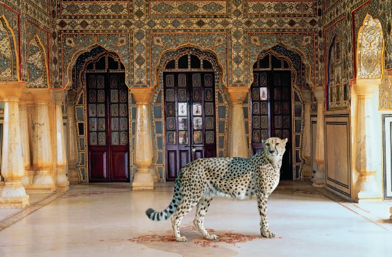 The Five Dimensions of Product Personalization | Noa: Understand the ...